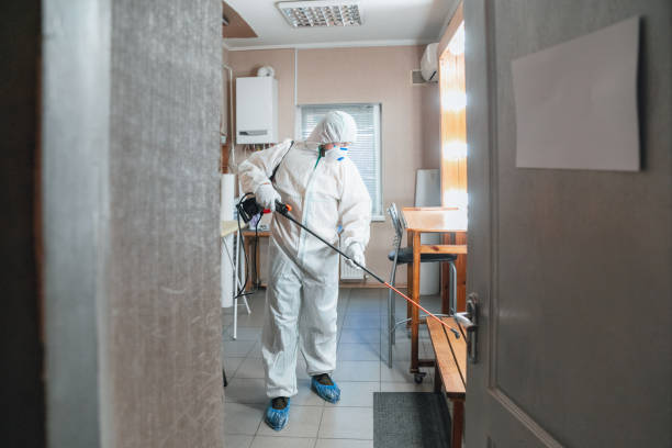 Best Mold Damage Restoration  in Buford, GA