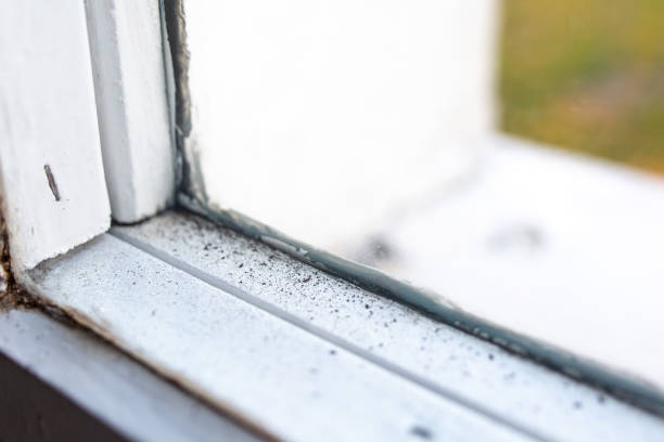 Best Mold Prevention Services  in Buford, GA