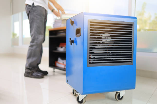 Mold Documentation for Insurance Claims in Buford, GA